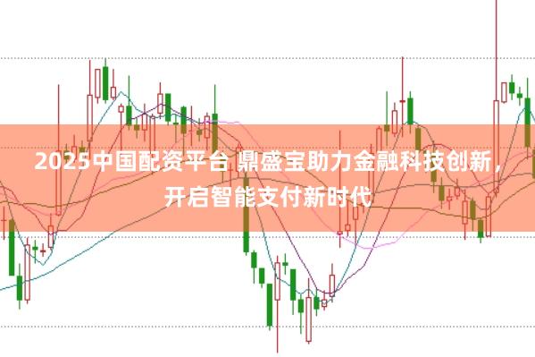 2025中国配资平台 鼎盛宝助力金融科技创新，开启智能支付新时代