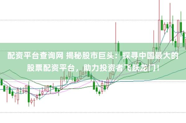 配资平台查询网 揭秘股市巨头：探寻中国最大的股票配资平台，助力投资者飞跃龙门！