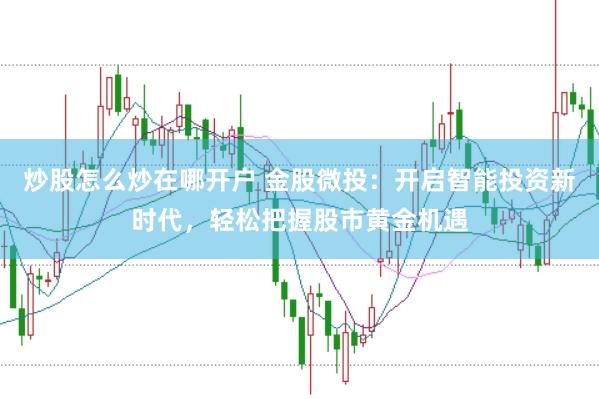 炒股怎么炒在哪开户 金股微投：开启智能投资新时代，轻松把握股市黄金机遇