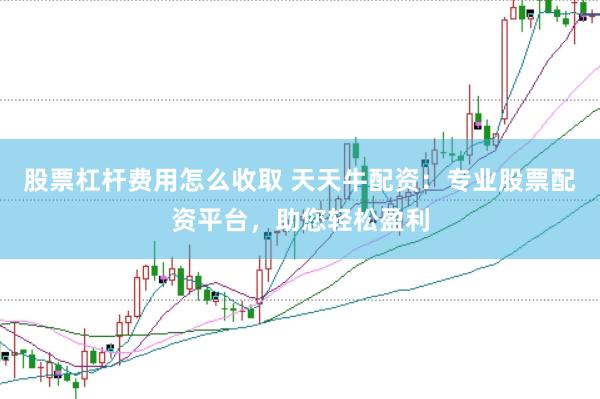 股票杠杆费用怎么收取 天天牛配资：专业股票配资平台，助您轻松盈利