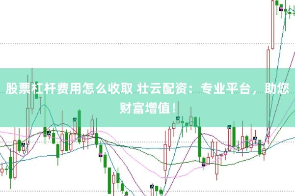 股票杠杆费用怎么收取 壮云配资：专业平台，助您财富增值！