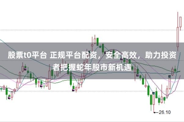 股票t0平台 正规平台配资，安全高效，助力投资者把握蛇年股市新机遇
