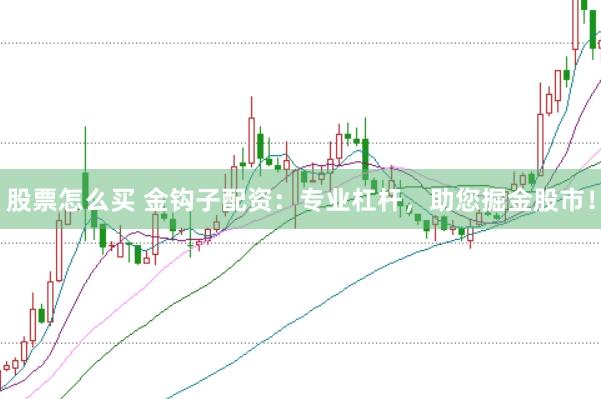 股票怎么买 金钩子配资：专业杠杆，助您掘金股市！