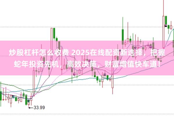 炒股杠杆怎么收费 2025在线配资新选择，把握蛇年投资先机，高效决策，财富增值快车道！