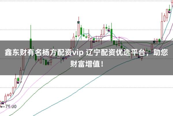 鑫东财有名杨方配资vip 辽宁配资优选平台，助您财富增值！