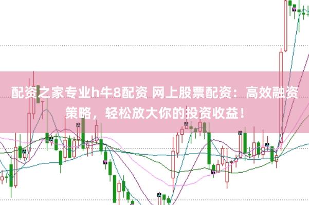 配资之家专业h牛8配资 网上股票配资：高效融资策略，轻松放大你的投资收益！