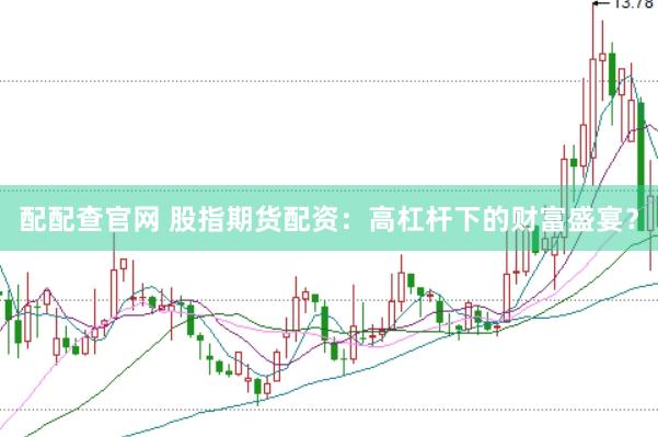 配配查官网 股指期货配资：高杠杆下的财富盛宴？