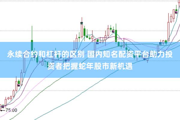 永续合约和杠杆的区别 国内知名配资平台助力投资者把握蛇年股市新机遇