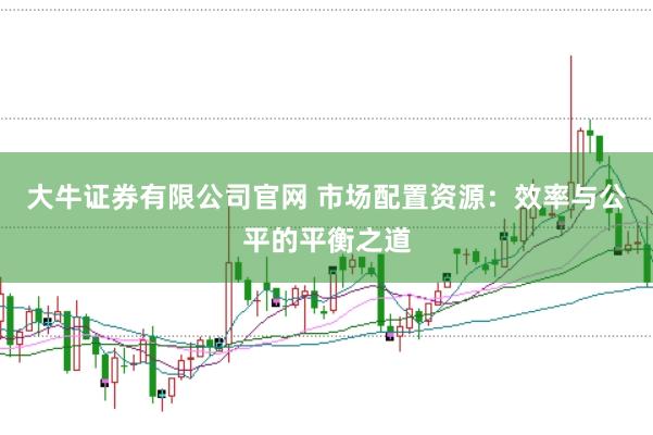 大牛证券有限公司官网 市场配置资源：效率与公平的平衡之道