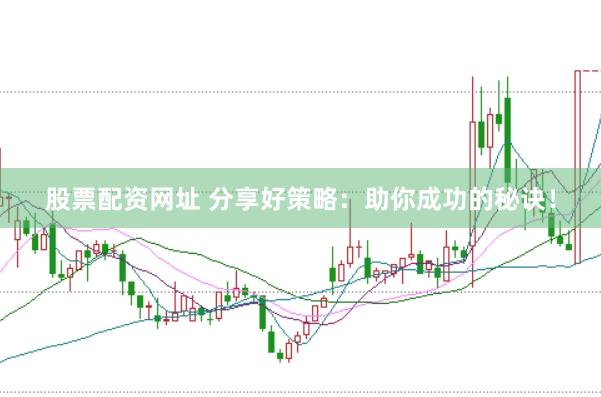 股票配资网址 分享好策略：助你成功的秘诀！
