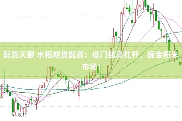 配资天眼 水稻期货配资：低门槛高杠杆，掘金稻米市场！