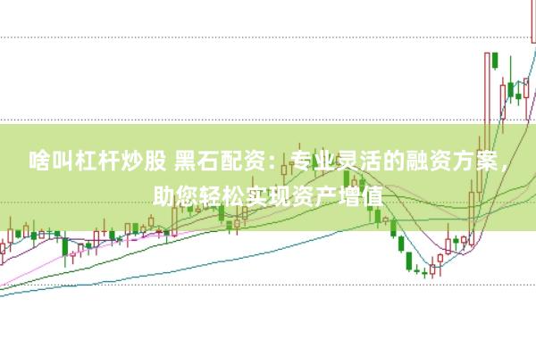 啥叫杠杆炒股 黑石配资：专业灵活的融资方案，助您轻松实现资产增值