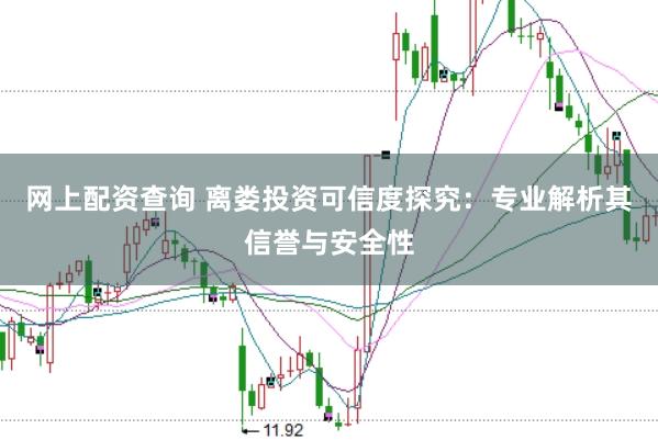 网上配资查询 离娄投资可信度探究：专业解析其信誉与安全性