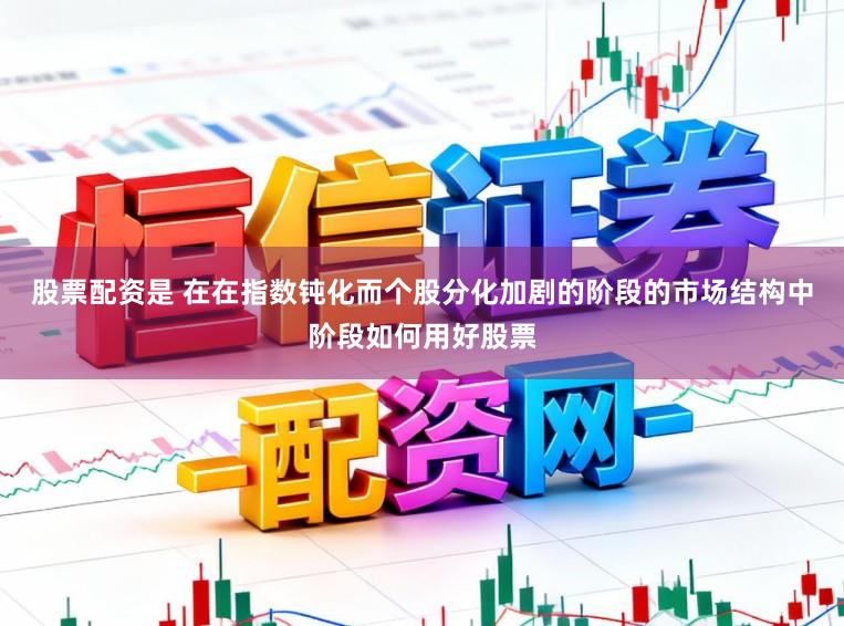 股票配资是 在在指数钝化而个股分化加剧的阶段的市场结构中阶段如何用好股票