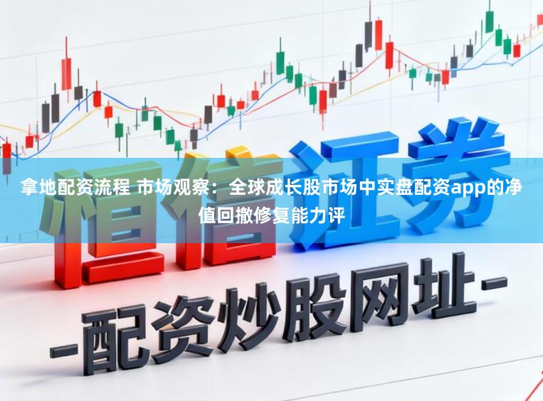 拿地配资流程 市场观察：全球成长股市场中实盘配资app的净值回撤修复能力评