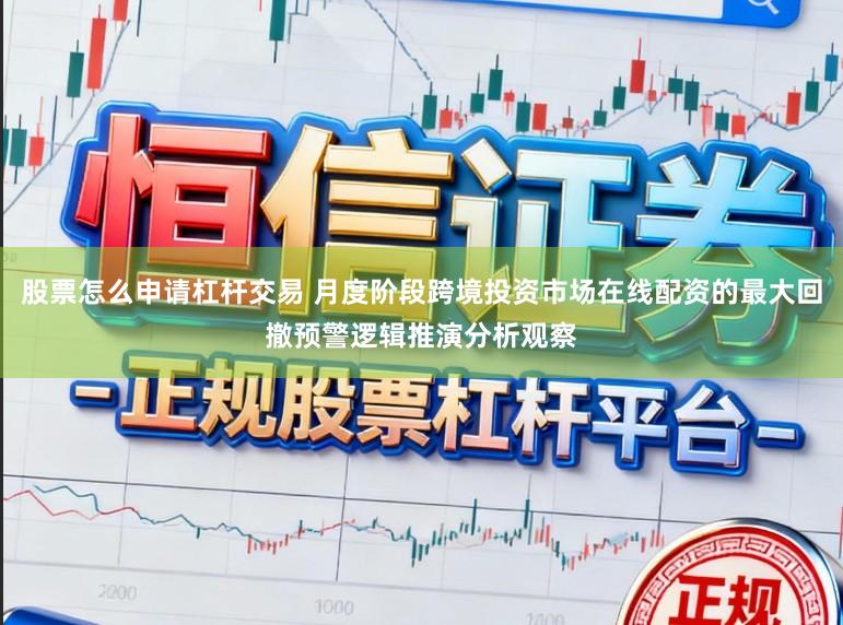 股票怎么申请杠杆交易 月度阶段跨境投资市场在线配资的最大回撤预警逻辑推演分析观察