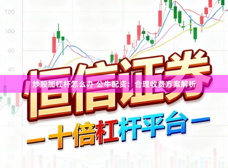 炒股加杠杆怎么办 公牛配资：合理收费方案解析